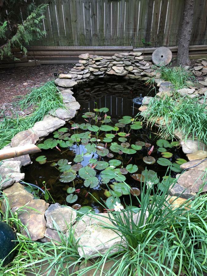 Magnolia House & Gardens B&B Clover 外观 照片