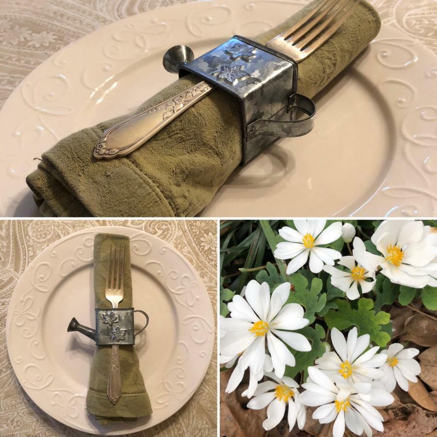 Magnolia House & Gardens B&B Clover 外观 照片
